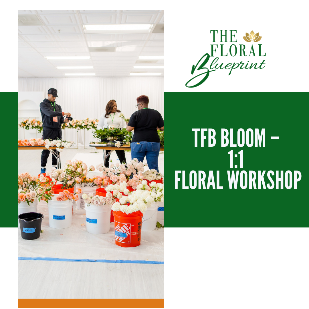 TFB Bloom